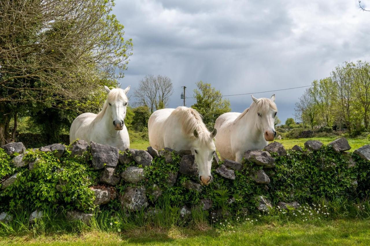Luxury Apartment, Bed And Breakfast Galway Exterior foto